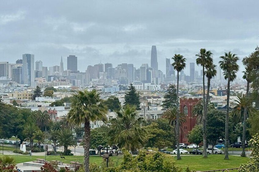 3hr Private SF City Tour In Electric VW Van