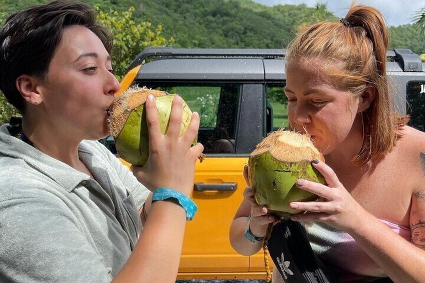 Enjoy a fresh coconut