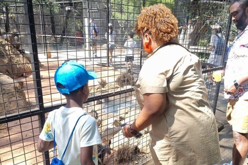 PVT Guided Tour: Sydney Opera House and Featherdale Wildlife Park