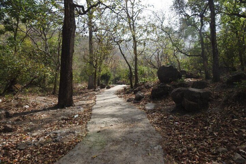 Trail to Mauni Baba Cave inside Rajai National Park