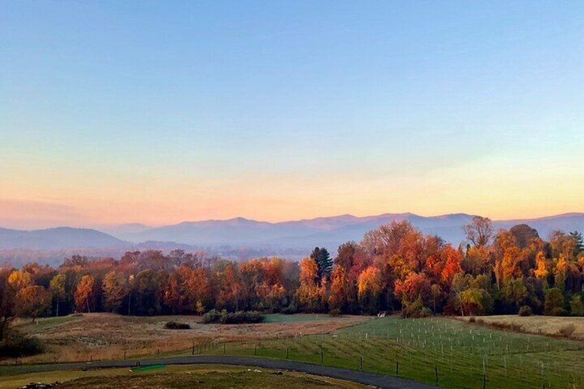 Savor our unique Blue Ridge Mountain Views