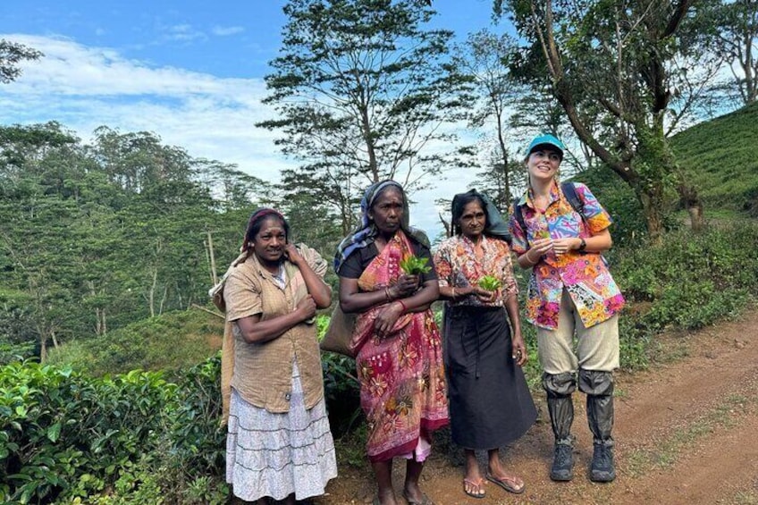 Pekoe Trail Stage 1- Scenic Trek from Hanthana to Galaha 