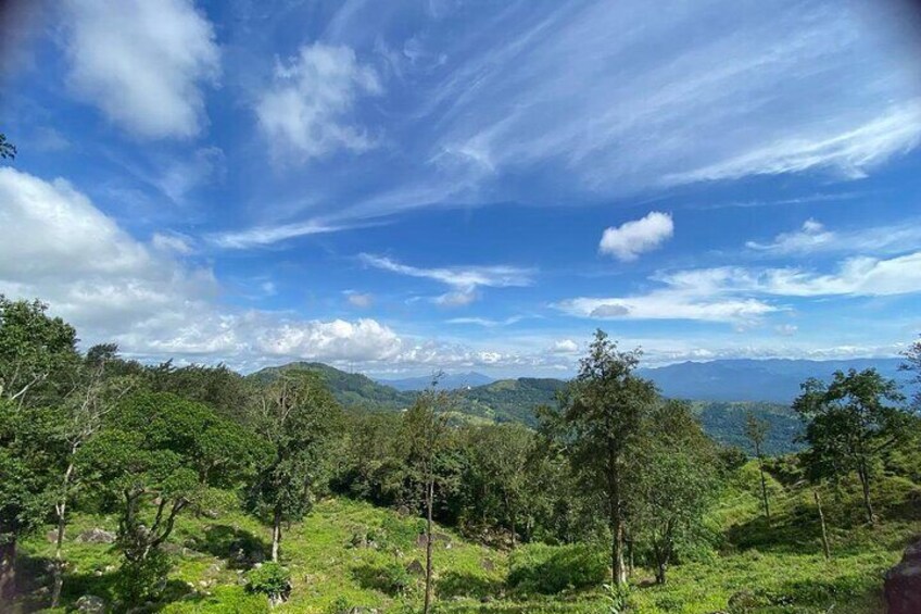 Scenic Trek from Hanthanatu to Galaha Pekoe Trail Stage 1