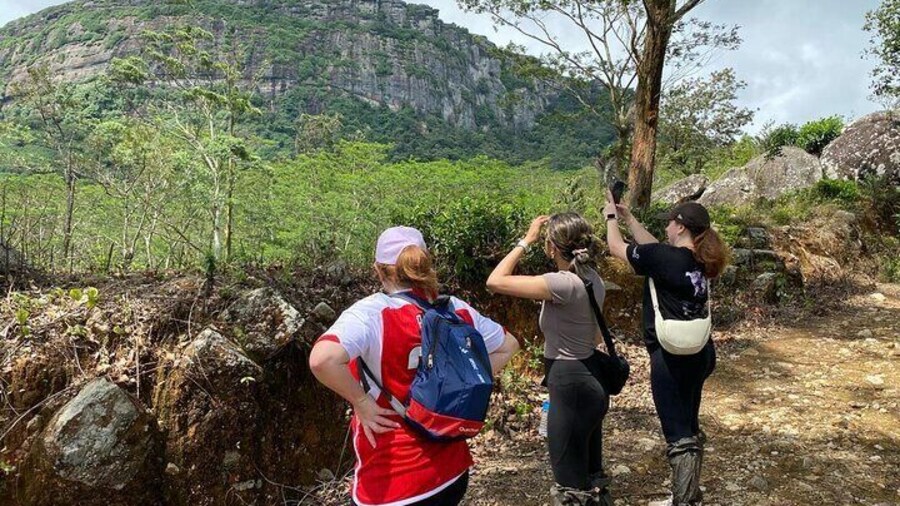 Scenic Trek from Hanthanatu to Galaha Pekoe Trail Stage 1
