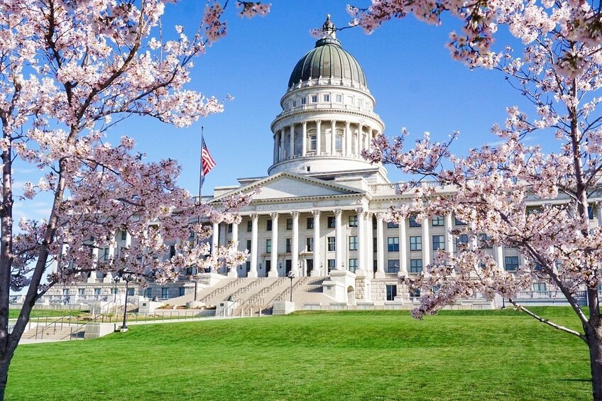 Premium Small Group Salt Lake City - Yellowstone - Grand Teton 6-Day Tour
