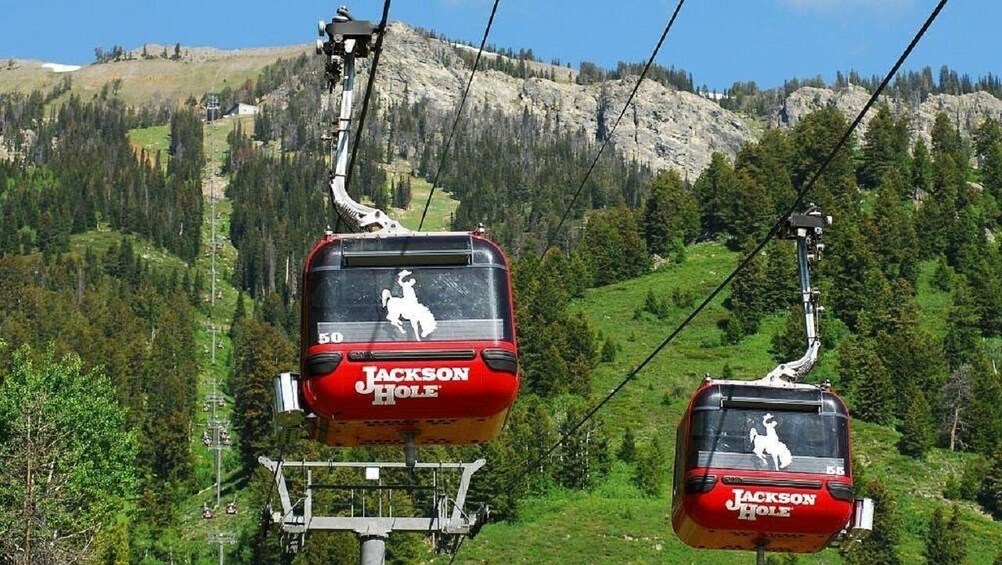 Premium Small Group LV-Antelope Canyon-Bryce Canyon-Yellowstone 8-Day Tour