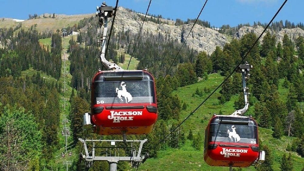 Premium Small Group LV-Antelope Canyon-Bryce Canyon-Yellowstone 8-Day Tour