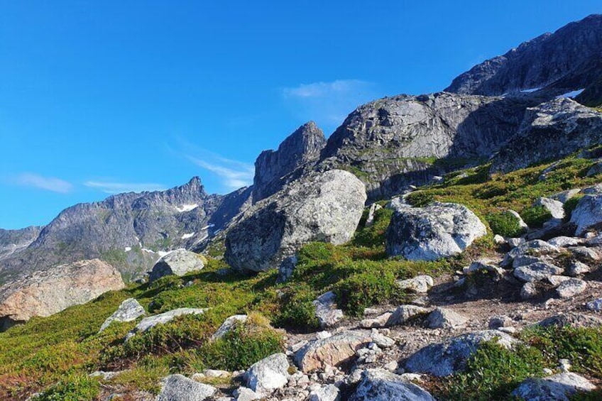Above the Arctic Summer Midnight Sun Hike