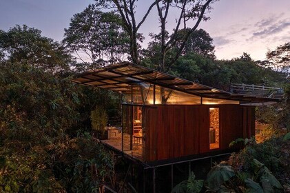 來自基托的3天亞馬遜叢林體驗全包