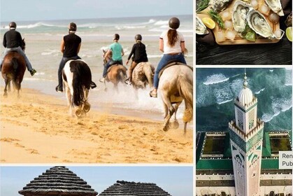 沿南海岸和哈桑清真寺必经的 25 公里