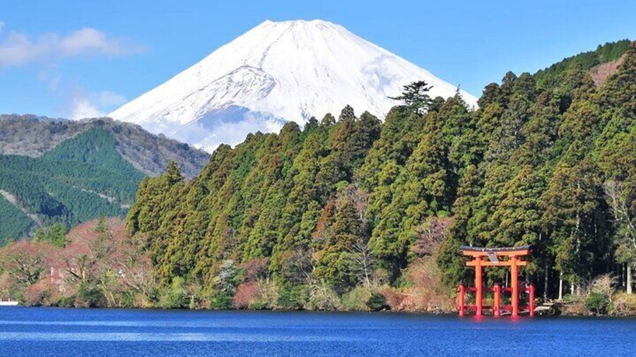Mount Fuji Hakone Shrine or Onsen Atami Fireworks Show Day Trip