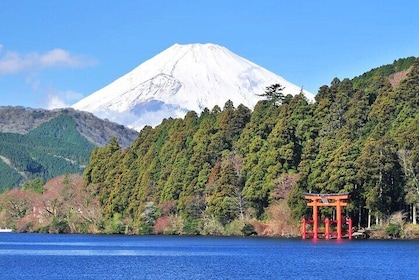 Mount Fuji Hakone Shrine or Onsen Atami Fireworks Show Day Trip