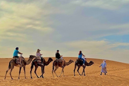 3Days Desert Tour from Marrakech to Merzouga to Fes or Marrakech