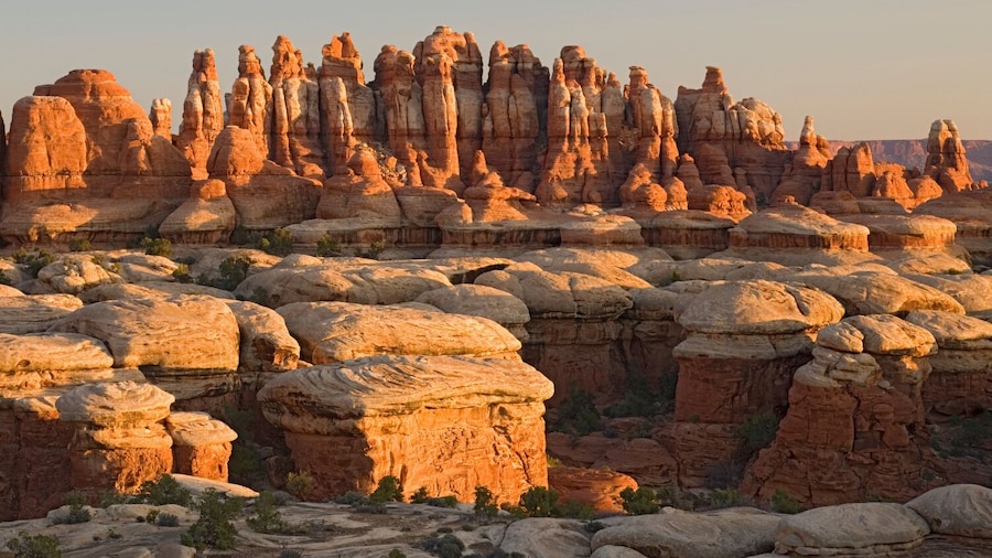 Canyonlands Needles District: Self-Guided Driving Audio Tour