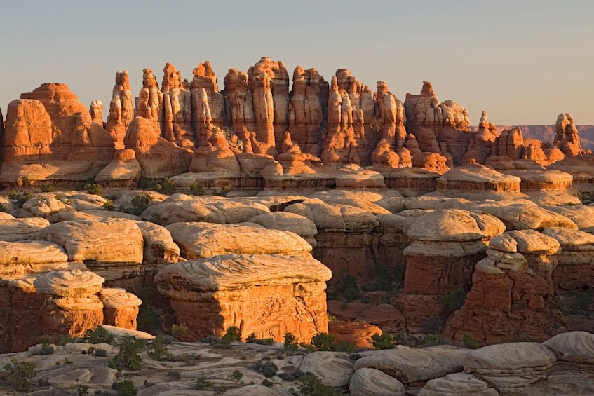 Canyonlands Needles District: Self-Guided Driving Audio Tour