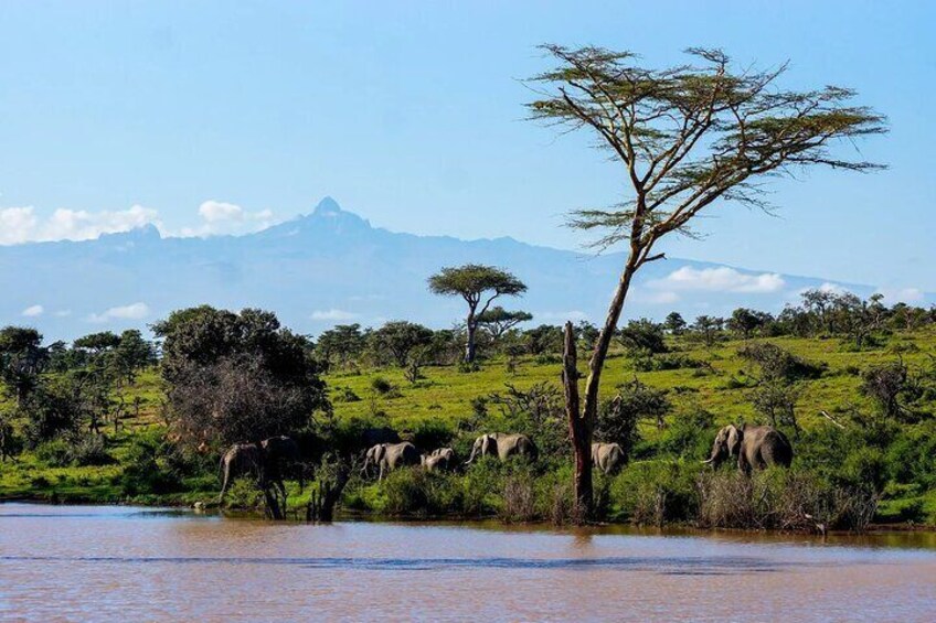5 Days Aberdares Solio and Samburu Luxury Safari by 4x4 Jeep