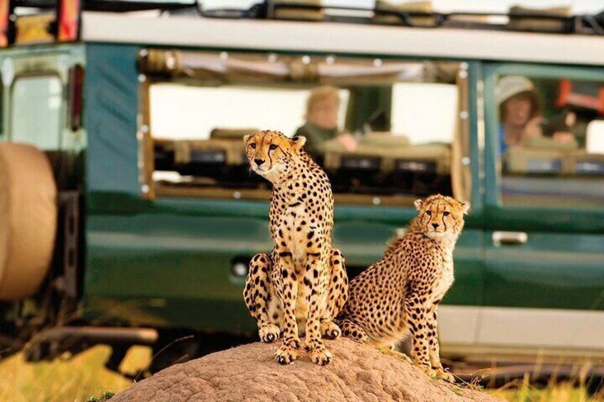 5 Days Aberdares Solio and Samburu Luxury Safari by 4x4 Jeep