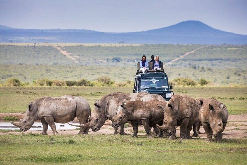 5 Days Aberdares Solio and Samburu Luxury Safari by 4x4 Jeep