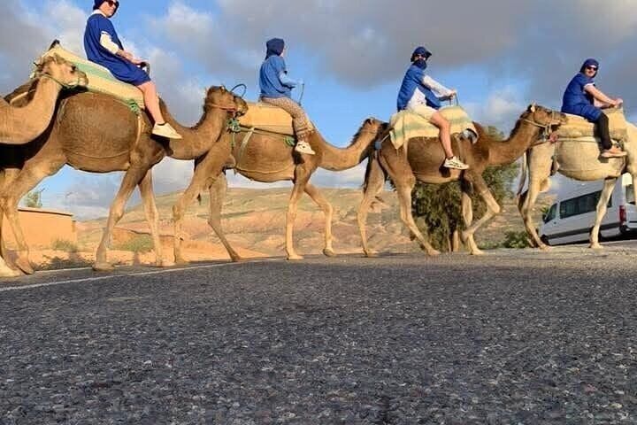  Quad Agafay camel ride, swimming pool, dinner and show.