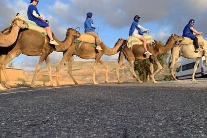 Quad Agafay camel ride, swimming pool, dinner and show.