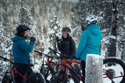 Levi: E-Fatbike Adventure in Snowy Forest
