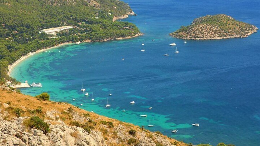 Formentor and Sineu Market Tour with Boat Trip