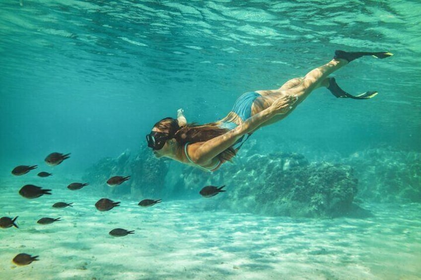 Paradise Class – All Inclusive Day Pass Cozumel, México