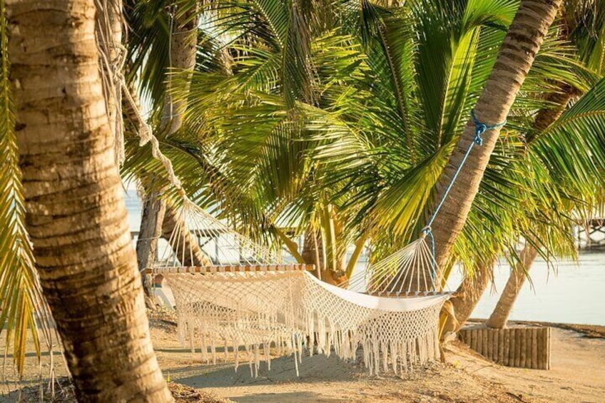 Paradise Class – All Inclusive Day Pass Cozumel, México