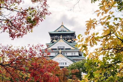 Osaka Unveiled: A Self-Guided Journey Through Japan's Kitchen