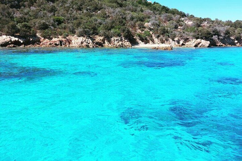 Boat tour to Archipelago of La Maddalena from Cannigione