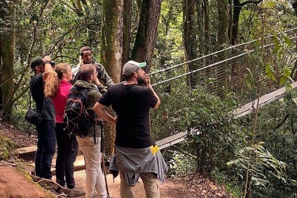 Ruanda Nyungwe Chimpancé Trek Tirolesa y más