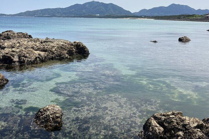 Idyllic Genkai coastline