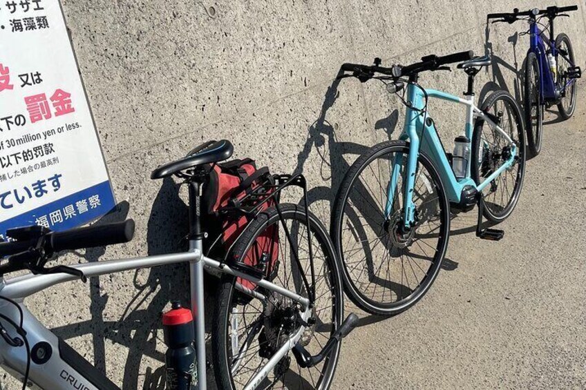 Miyata Cruise E-bikes