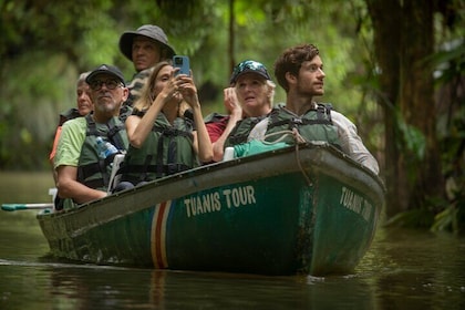 3 Activities Package Tortuguero with Breakfast Included