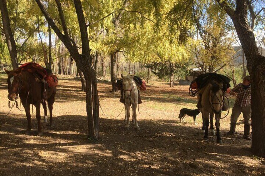 Horseback expedition to The Andes, 2 days. Sleep in the heart of the mountain.