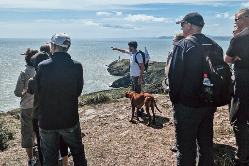 Local guide