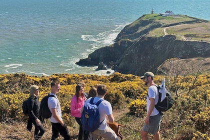Howth Coastal Hike Private Tour