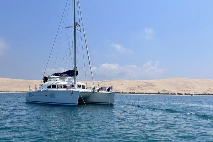 Catamaran Wine and Gourmet Cruise in Arcachon