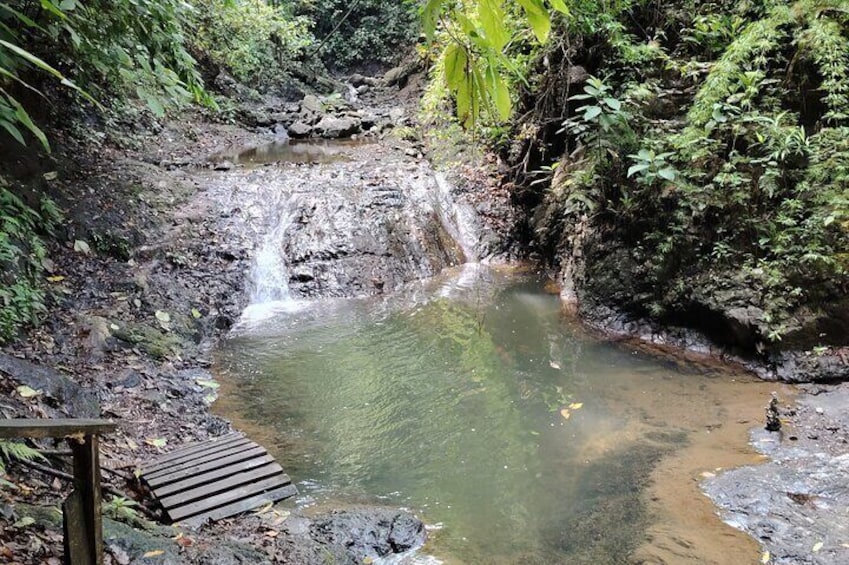 Waterfall and Monkeys from Jaco