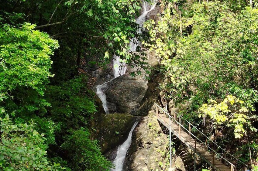 Waterfall and Monkeys from Jaco