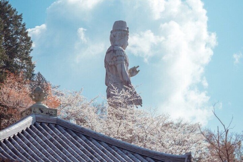 Discover the Timeless Charm and Natural Beauty of Nara