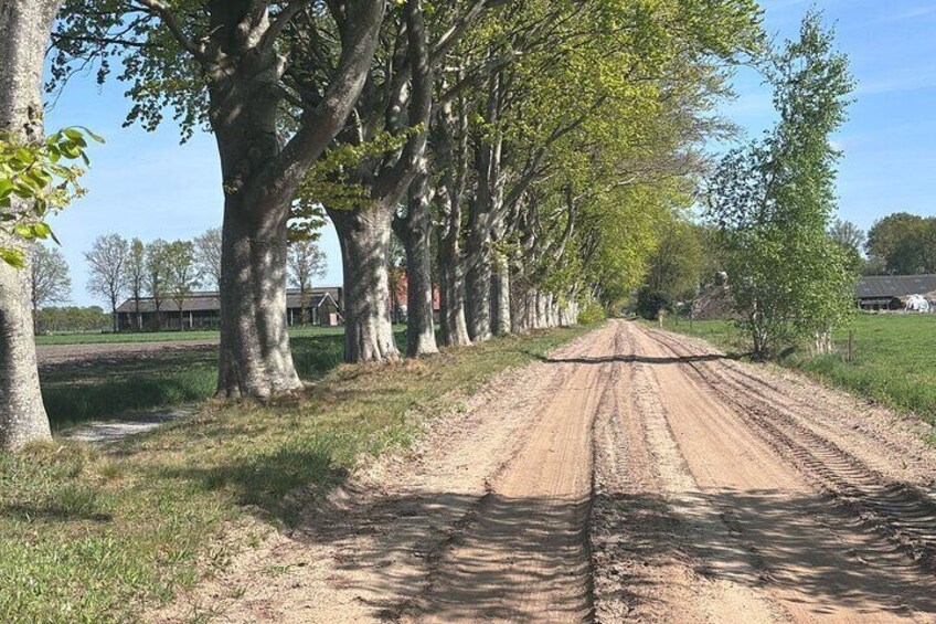 Private Car Rally De Zeven Wouden