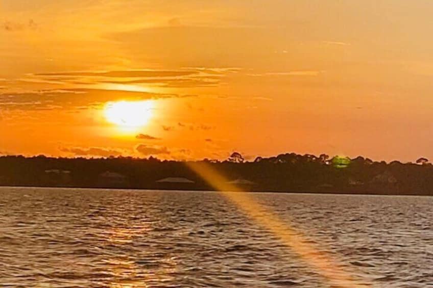 Dolphin Sunset Tour in Orange Beach