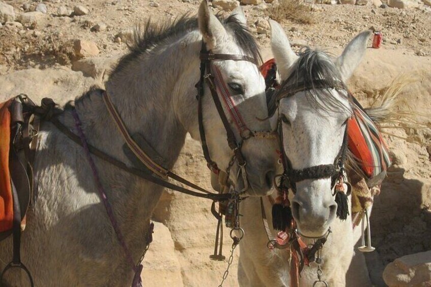 Full Day tour to Jericho and Dead Sea from Jerusalem