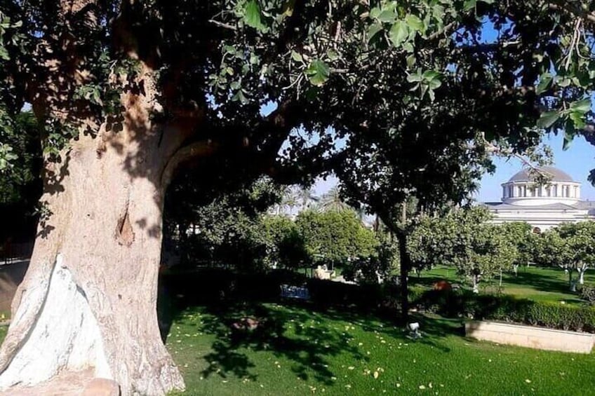 Full Day tour to Jericho and Dead Sea from Jerusalem