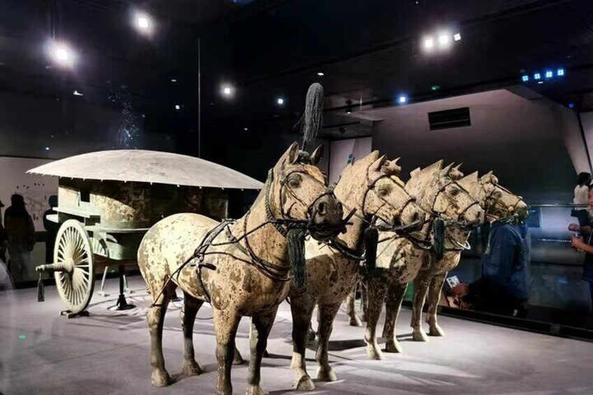 Terra-cotta Warriors Ticket Optional Tang Dynasty Show Ticket