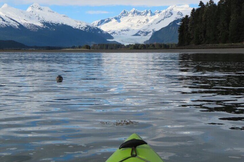 Juneau Small Group Sea Kayak with Mendenhall Glacier Views