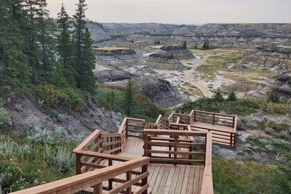 1 giorno di dinosauri Drumheller e Badlands in un tour personalizzabile