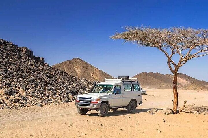 Jeep Safari Adventure Desert With Dinner And Show In Marsa Alam