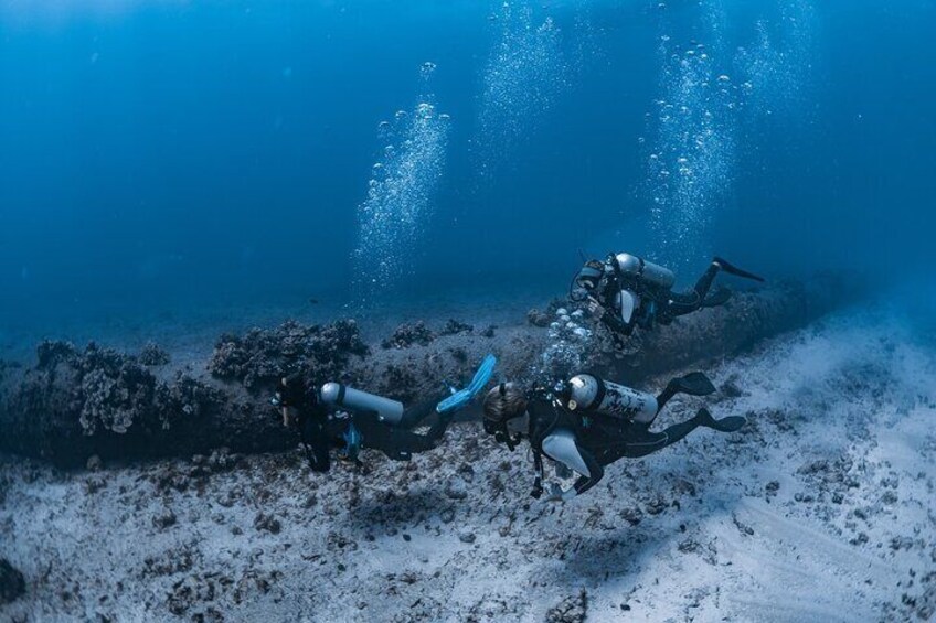 Explore Electric Beach with a private scuba guide. Perfect for beginners, this calm, shallow reef dive is filled with coral, tropical fish, and stunning visibility.